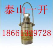 ZP-12RVßጹ؂