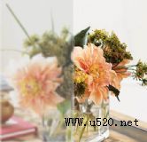 (yng)TBS-312ٳƽ岣ɰ(D)