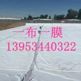 ؑcն850һһĤa(chn)
