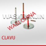 CLAVU ^