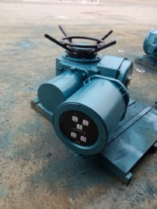 dzw120-24-a00-wk(zh)һw