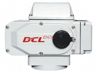 dcl-20yT늄b