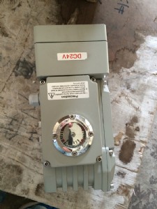 zyp-20zyp늄ӵy