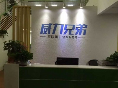威力兄弟電子商務(wù)模式的核心優(yōu)勢