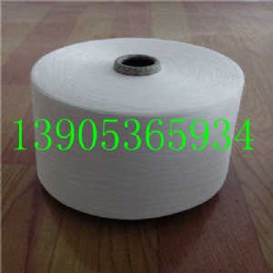 z(ji)8֧16֧g100z301