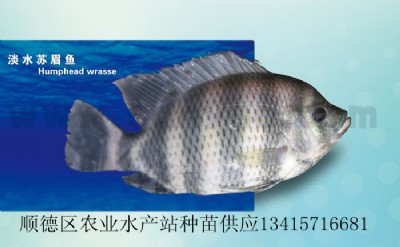 ˮKü~Kü