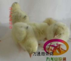 Fݵu-mҵu-a(chn)300