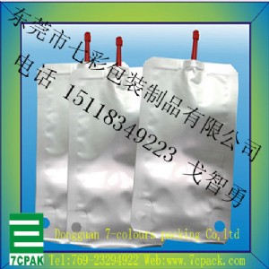ib  Xi