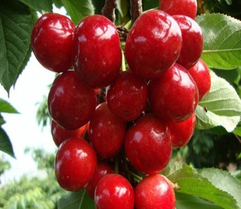 ½܇?yn)أ? /></div>
			<div   id=