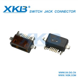 ʽݽz׹̶usbB