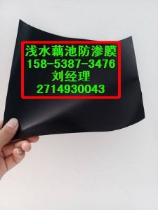 ػʍu(yng)ӵBĤ400gɲһĤr(ji)