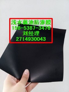 ݡˮaB(yng)ֳ0.5mmBĤr