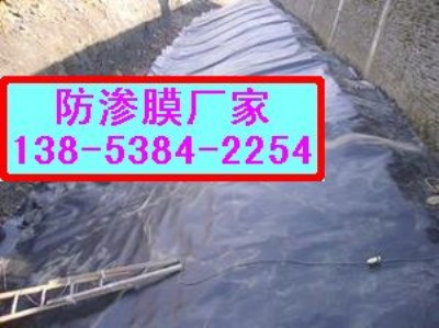 ຣ~(yu)|(zh)Ĥ|ˮa(chn)B(yng)ֳBĤ