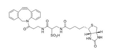 ws dbco-biotin1363444-70-5-h(hun)Ȳ-