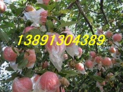 2016tʿOa(chn)l(f)r