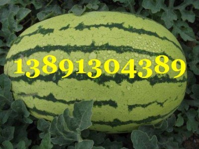 5Ϯa(chn)Ѓr(ji)