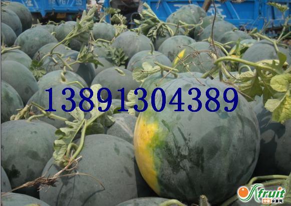 ϻغڻoϺϮa(chn)