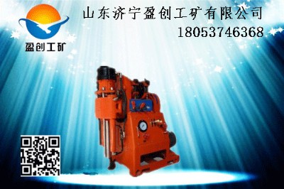 NZLJ-250úVÿӵ@C