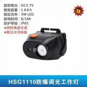 hsg1110{(dio)⹤