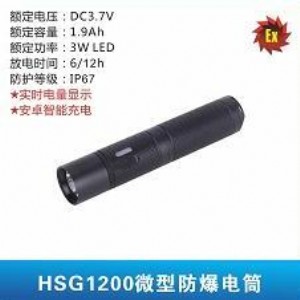 hsg1200΢͏(qing)Ͳ