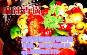 偼g(sh)W(xu)Ӗ(xn)