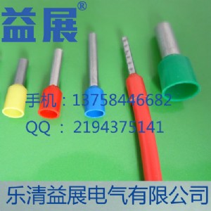 e0506A(y)^^ ᘹ͚Wʽ䉺Ӿ