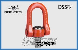 RɭCODIPRO DSSD(zhun)h(hun)Ҏ(gu) 
