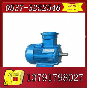 ybk2-132m-4늙CֱNr