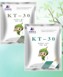 kt-30