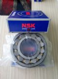 nskS