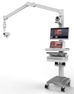 4kg(sh)Ұϵy(tng)