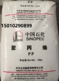 ۱ϩS1003τ(chung)zPP