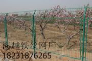 @FzW(wng)ɽW(wng)؇ھW(wng)(D)