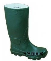 (yng)|ݸo(h)ЬVݷѥֵُ(gu)I