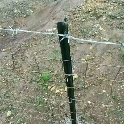 ӱFzSҹꖇIW\̾