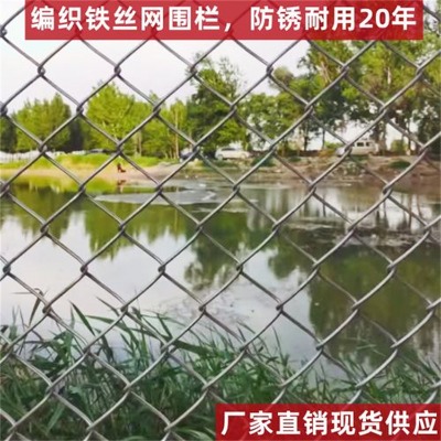 河北鍍鋅菱形鐵絲網(wǎng)廠家達(dá)州鍍鋅菱形勾花網(wǎng)雅安球場勾花護(hù)欄網(wǎng)