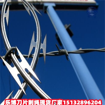 ӱ\ƬKSҸO(jin)zo(h)W(wng)TIW(wng)