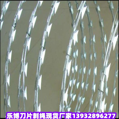½o(h)ľRW(wng)\ƬK