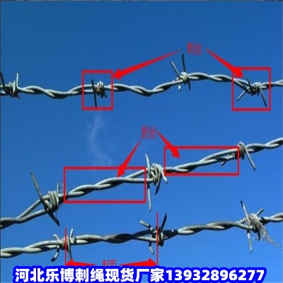 |дFzW(wng)ꖟ\F޼BȦ䓽zW(wng)