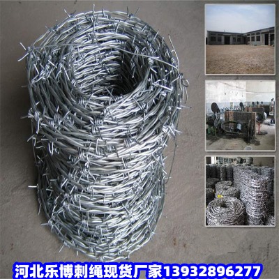 㽭P䓎FzW(wng)xȦشFz|(yng)ȦɽF޼