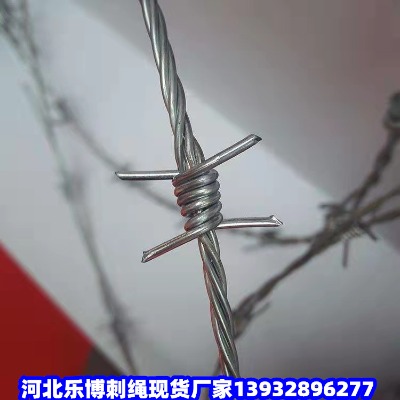 ̾FzGݲPFzW(wng)S·B(yng)o(h)FzW(wng)