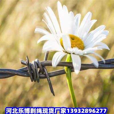 ֟\䓽zW(wng)LȦ؎FzW(wng)׳Ȧ䓽zW(wng)