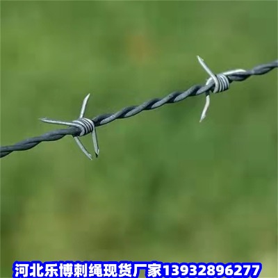 ֎FzW(wng)\䓽zW(wng)L(zhng)ȦɽF޼