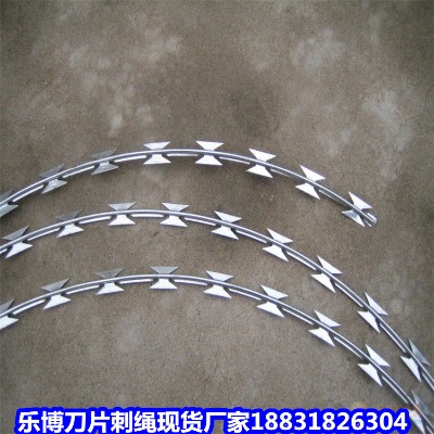 \KS L(zhng)ɳF·o(h)K ޲P䓵Ƭ̾W(wng)