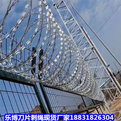 \KS(chng) L(zhng)ɳS(chng)W(wng) ޲P䓴̾W(wng)