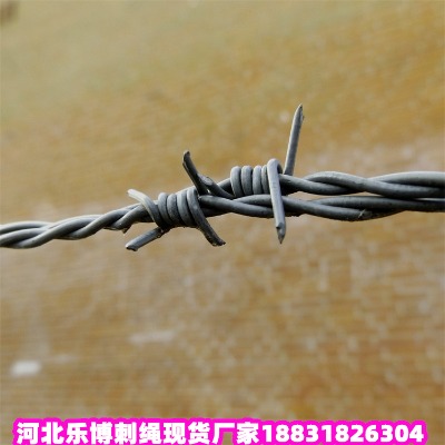 _\KS ¡䓽zW(wng) IW(wng)
