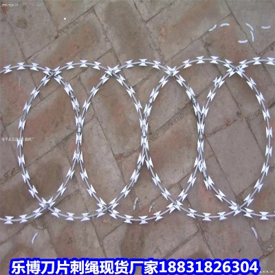\KS 14̖L\FzW(wng)