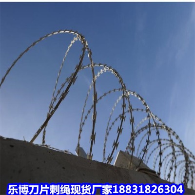 F\KS ʑ9̎ P10oW(wng)