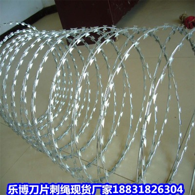 V\KS 12̖\PIW(wng)