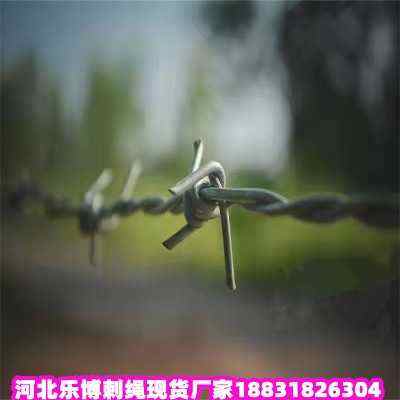 ƽ\KF(xin)؛S҃(ni)ɹŵ·B(yng)o(h)o(h)W(wng)ؐС^(q)^